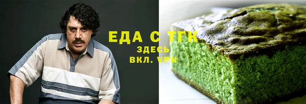 тгк Абаза