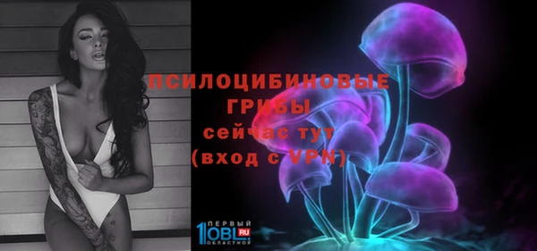винт Абинск
