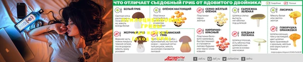 шишки Остров