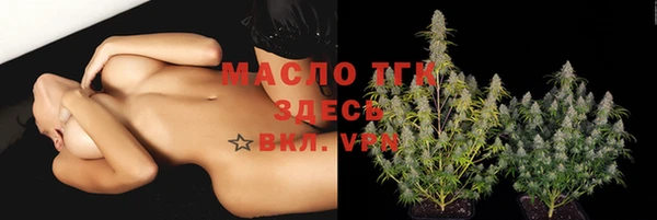 тгк Абаза