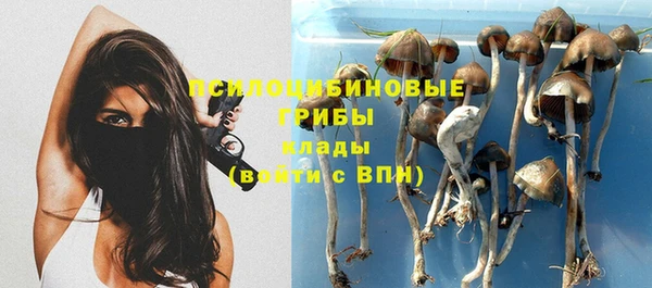 винт Абинск