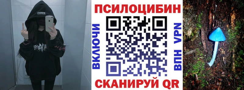 Псилоцибиновые грибы Psilocybine cubensis  hydra онион  даркнет официальный сайт  Калининград 