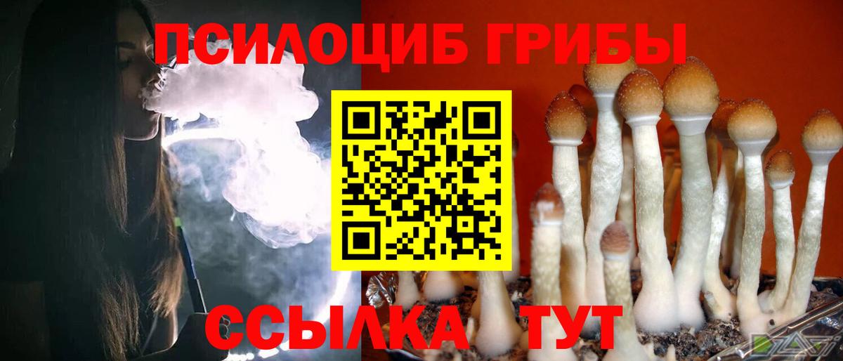 Калининград  Псилоцибиновые грибы мухоморы  Вход с VPN 