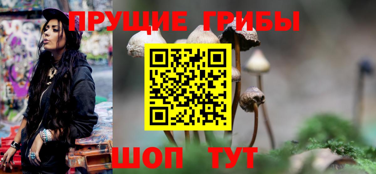 Псилоцибиновые грибы прущие грибы Калининград
